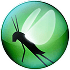 Locust