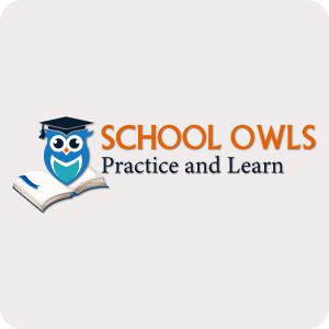 About School Owls
